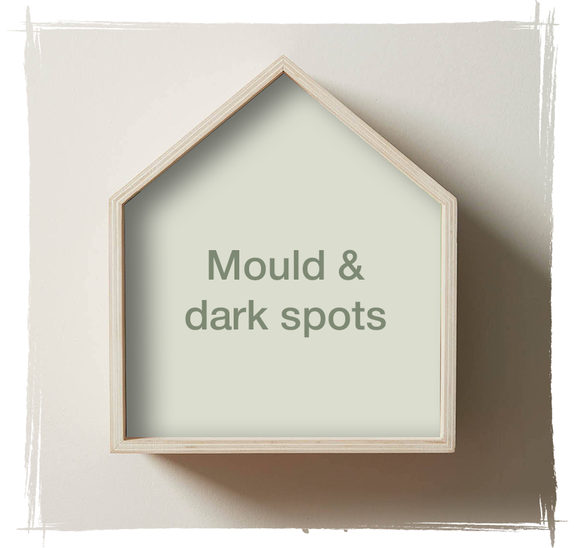 Mould and Dark spots