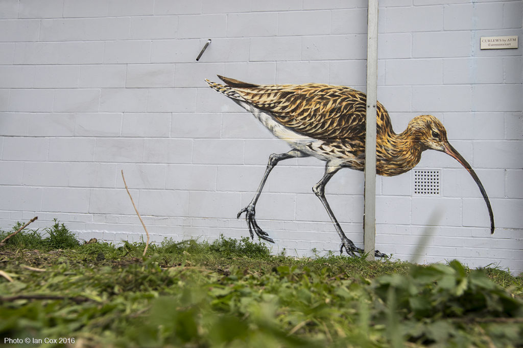 1200_DSC1034_Endangered13_Artist_ATM_Tower_Hamlets_Photo_©_Ian_Cox_2016 copy