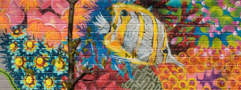 Louis Masai - coral portfolio