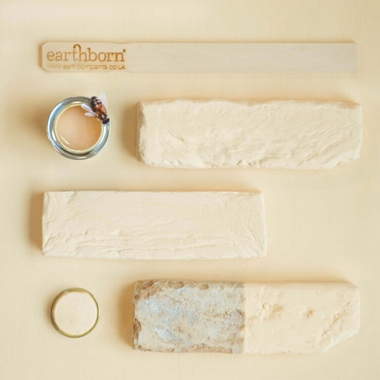 Flat lay of Honeycomb