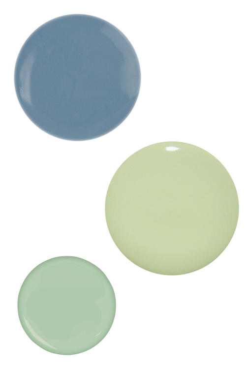 polka-dot-cricket-grasshopper