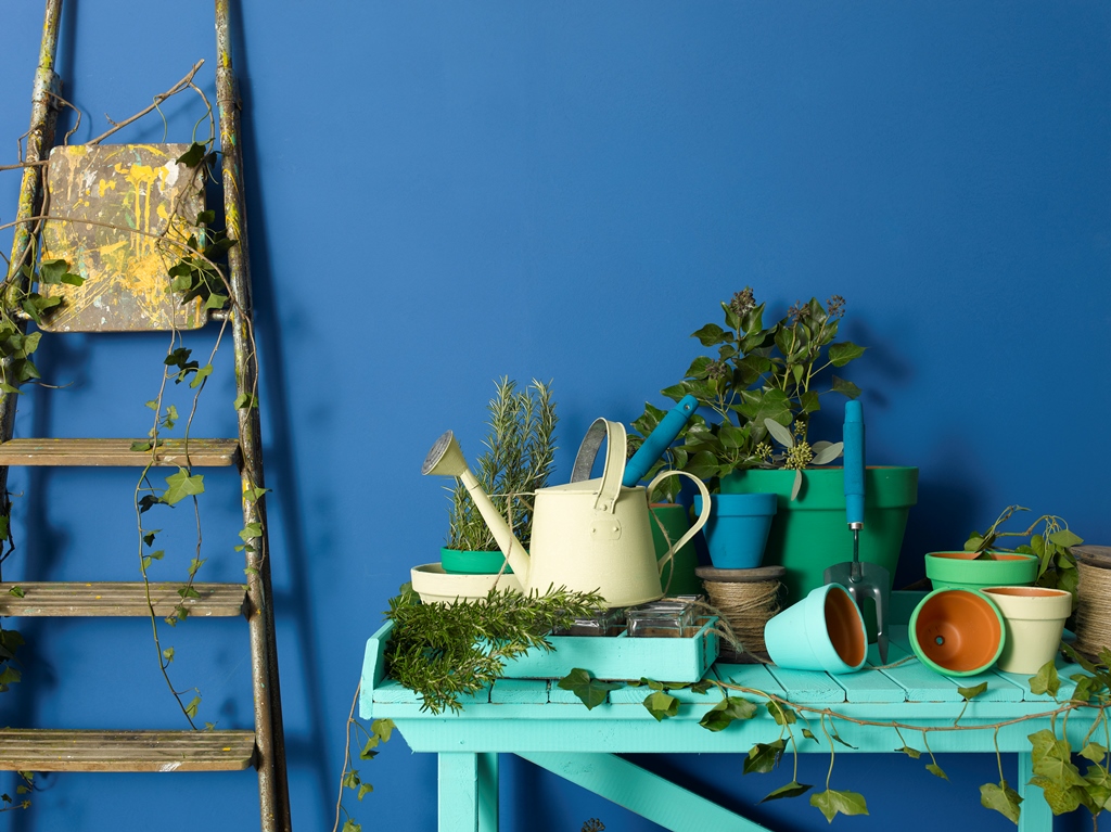 Burlington Gardens lower res