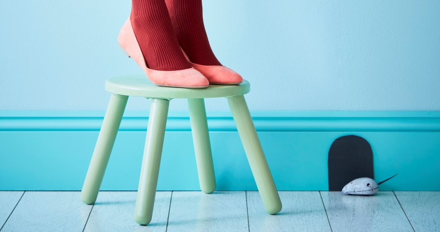 Earthborn Paint 23.06.16 5822 crop resized