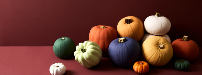 Earthborn - pumpkins