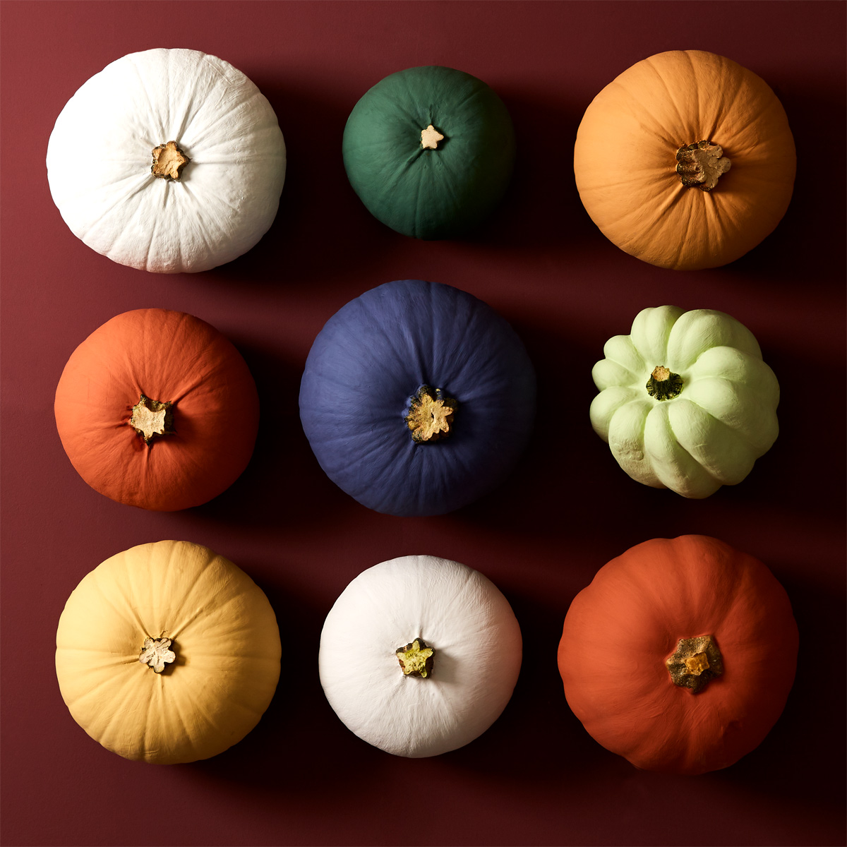 Earthborn sample pots are ideal for Halloween painted pumpkins this Autumn!