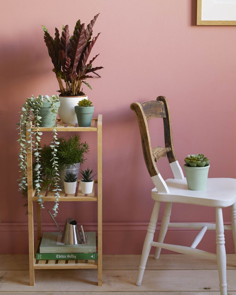 Delilah walls with chair