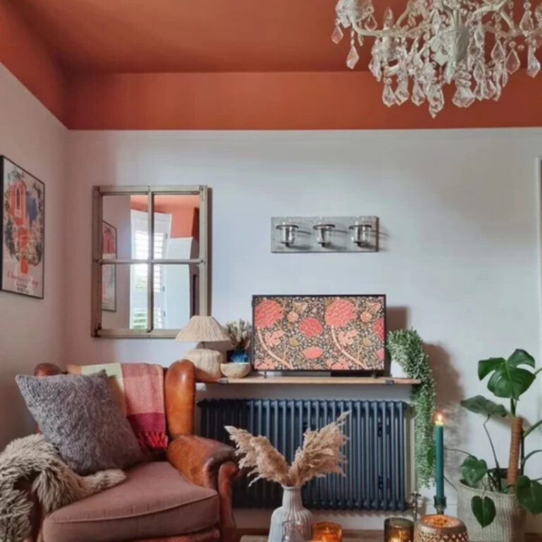 Living room boldly decorated and the ceiling painted in Flowerpot.