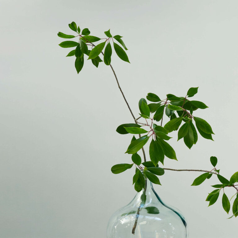 A glass bottle with green leaves.