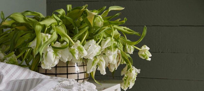 Hallway ft. Secret Room