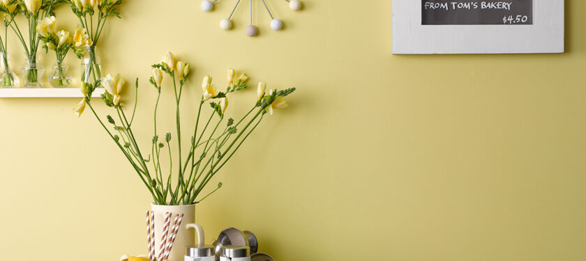 Kitchen ft. walls in Daisy Chain