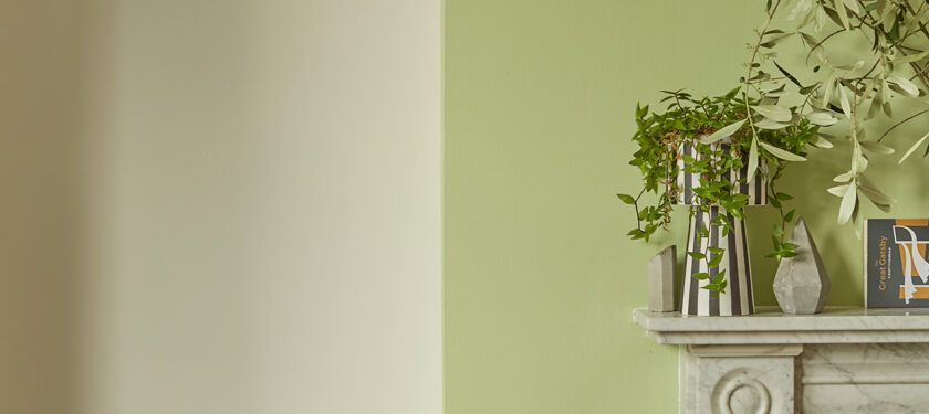 Living Room ft. Flutterby and Grasshopper