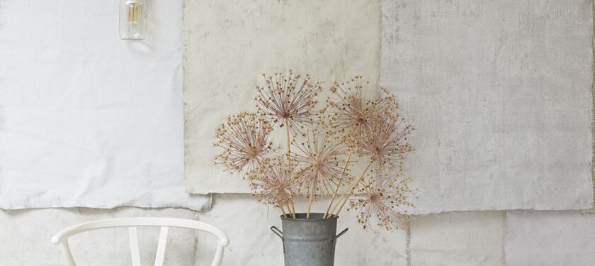 White Clay, St John, Marbles, Flutterby, Maybe Maggie and Eyebright