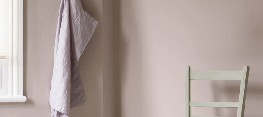 Earthborn paint colour Paw Print