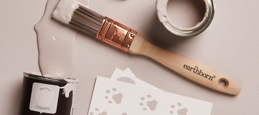 Earthborn mushroom paint colour Paw Print