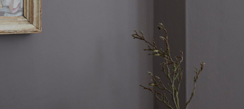 Rocky Horse is a luxurious grey-brown paint colour by Earthborn