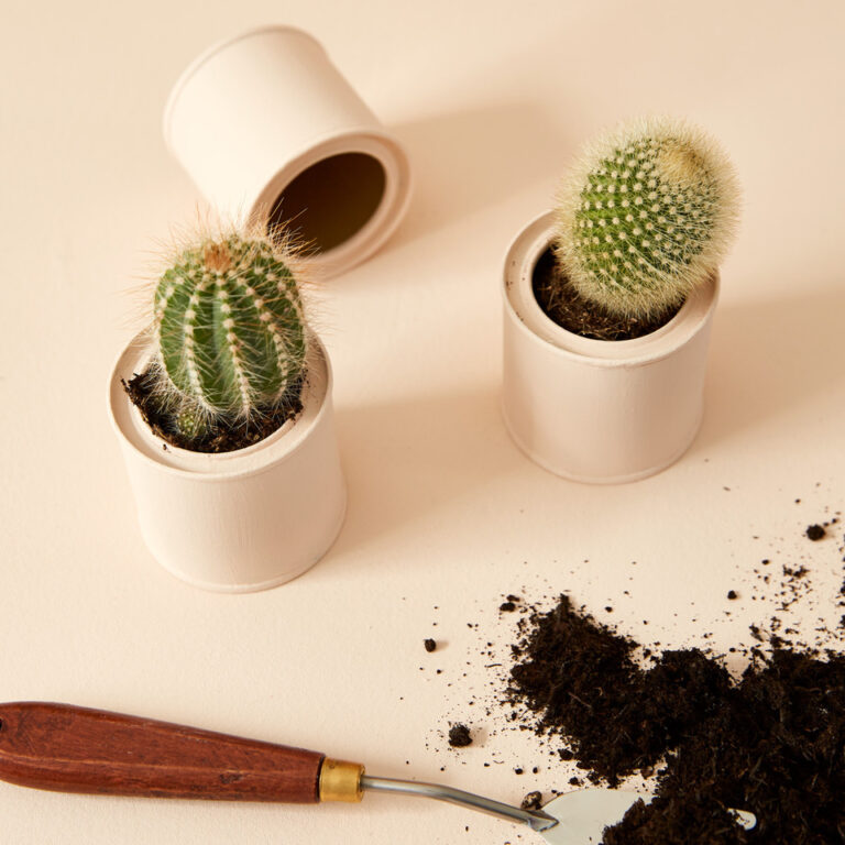 Peach Baby mood board.