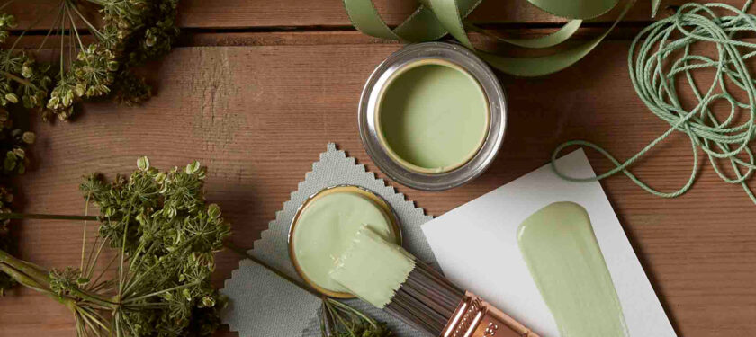 Earthborn Grasshopper