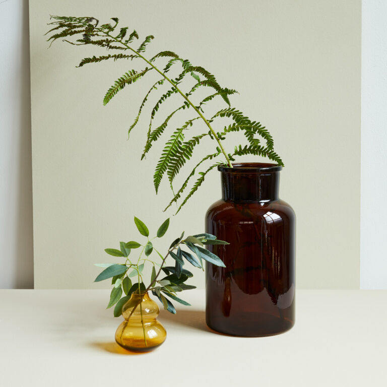 Green fern in glass bottles.