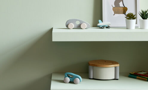 Gregory's Den Shelves