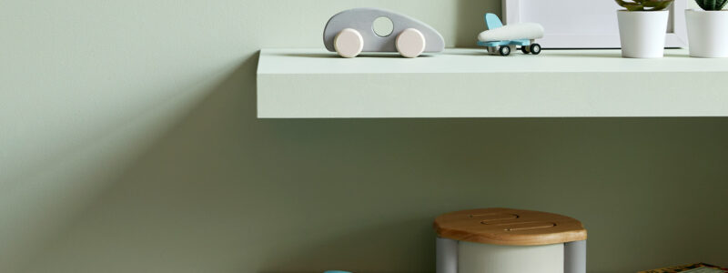 Gregory's Den Shelves