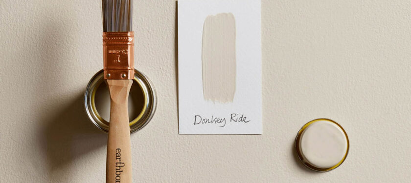 Brush shot - Donkey Ride