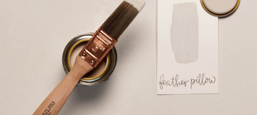 Brush shot Feather Pillow