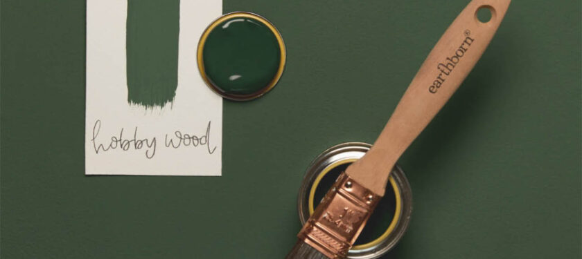 Brush shot Hobby Wood