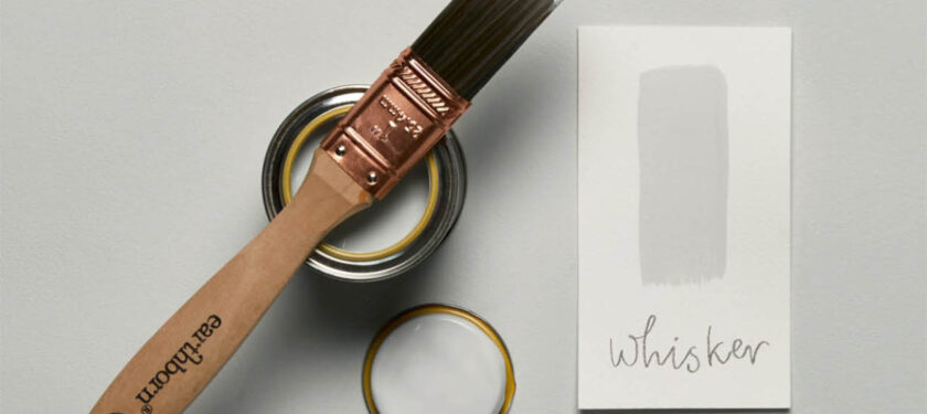 Brush shot - Whisker