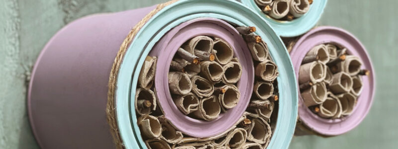 DIY Bee House