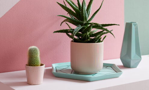 Hawaiian Tropics - Interior decorating ideas.