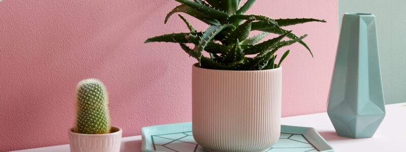 Hawaiian Tropics - Interior decorating ideas.