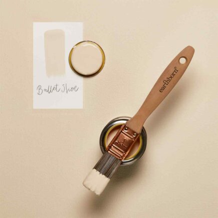 Ballet shoe mood board.