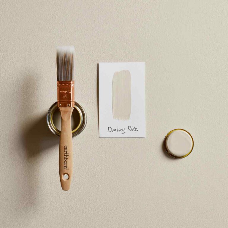 Donkey Ride mood board.