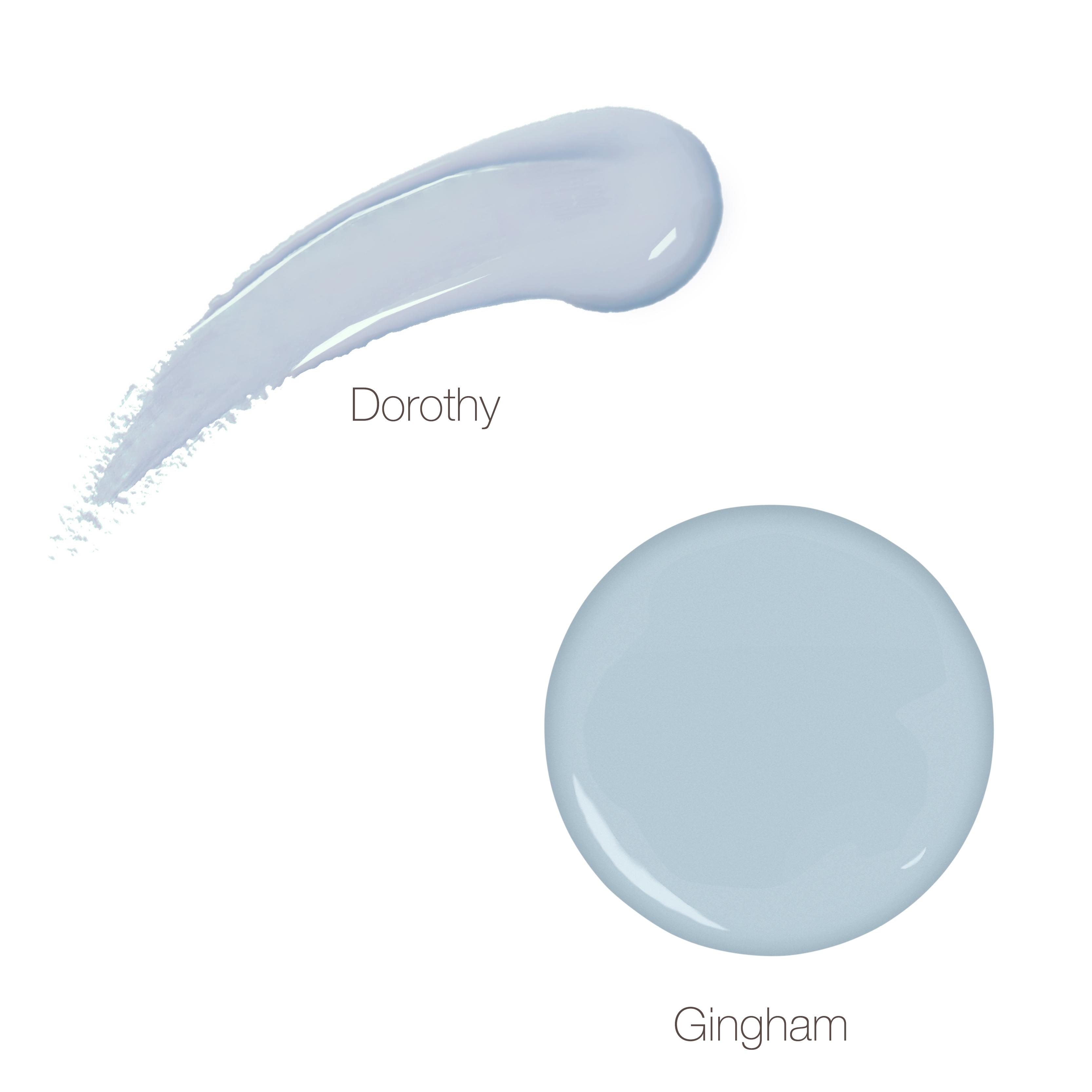 Dorthy colour swoosh above a Gingham colour drop.