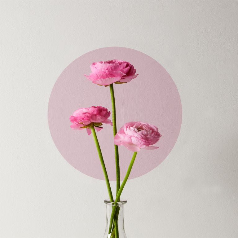 White wall with a pink painted circle with a glass vase that has three bright pink flowers in.