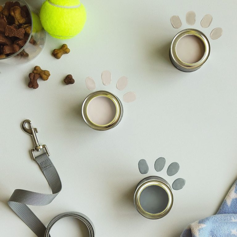 Lifestyle animal lovers family mood board.