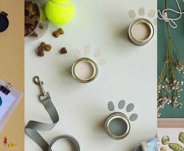 Lifestyle for every family header