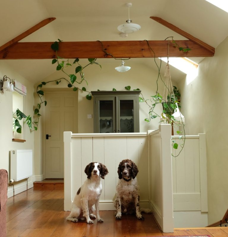 Tilly Ball uses Lifestyle in her living room.