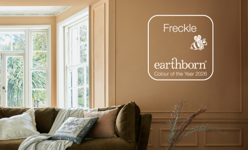 Colour of the Year 2026 Freckle painted on the wall in a living room with a couch.