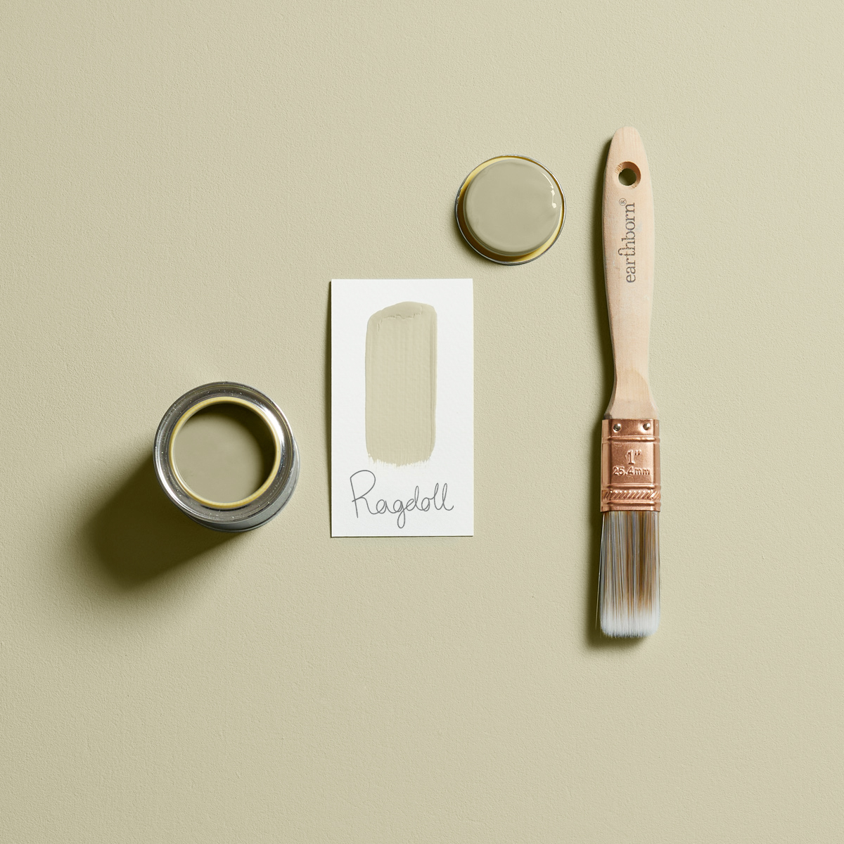 Ragdoll brush out shot