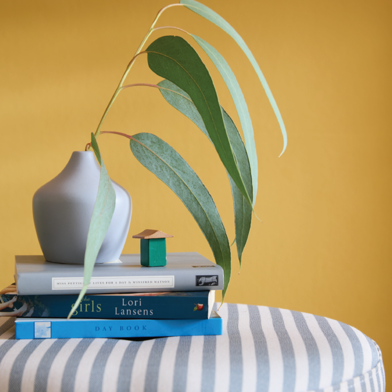 Three Bears close up lifestyle shot.